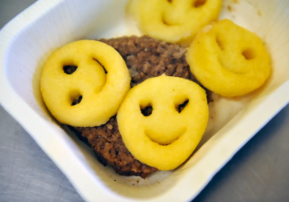 A school lunch of a burger patty and French fries. Photo from canva.com.