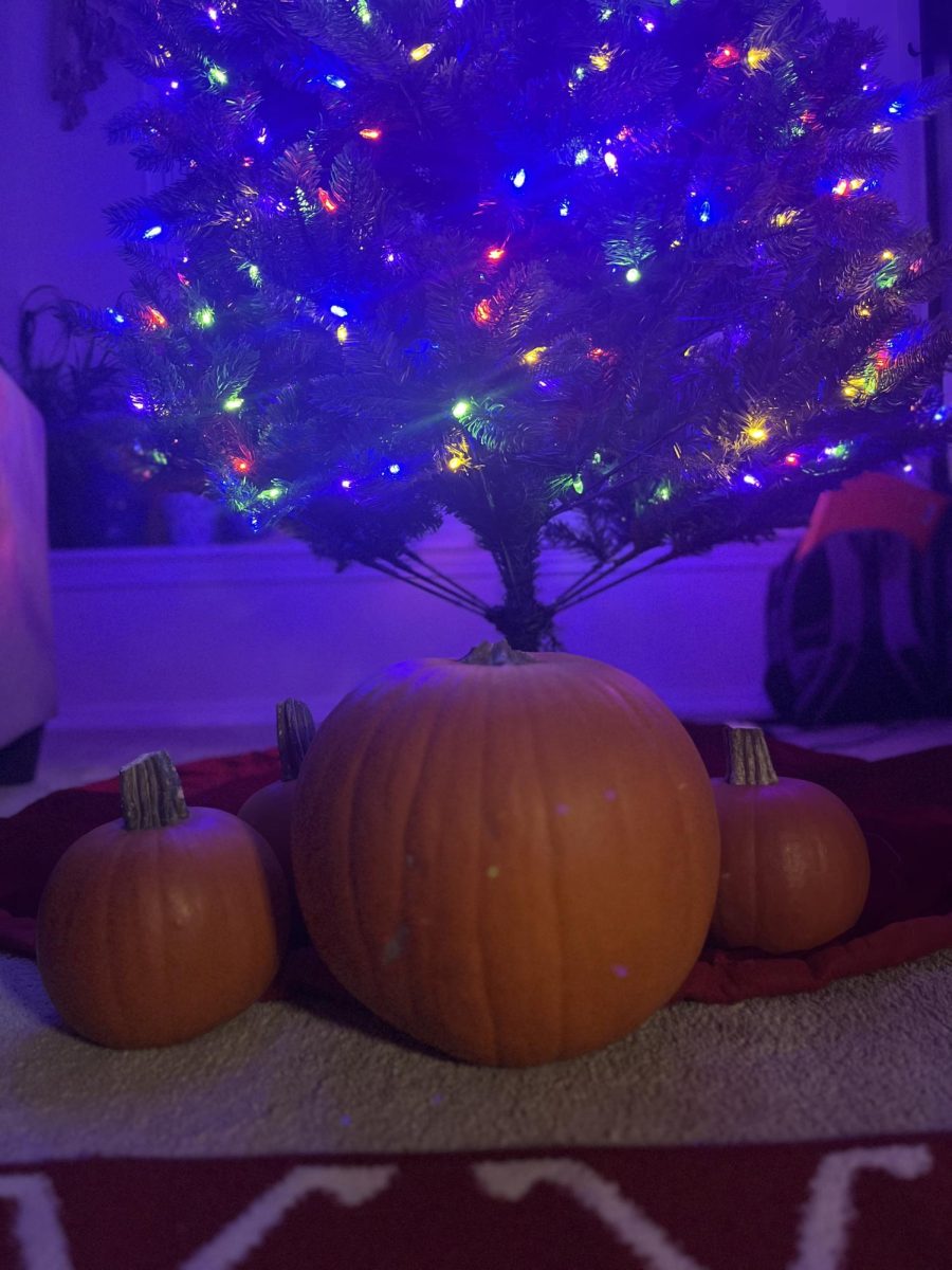 Pumpkins in front of multicolored lit tree. Photo taken by Aspen Laslie.
