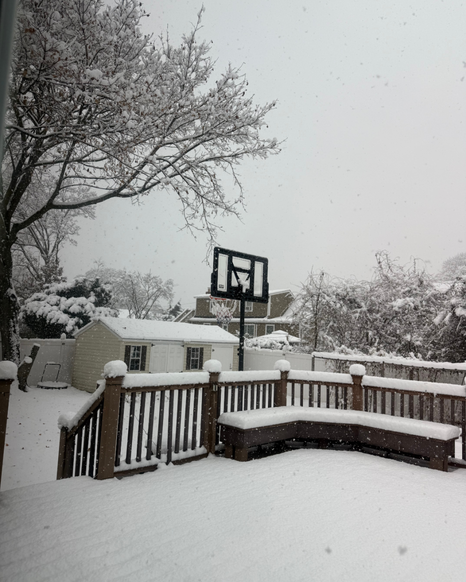 Photo of a basketball hoop in the snow. Photo courtesy of Canva.com.