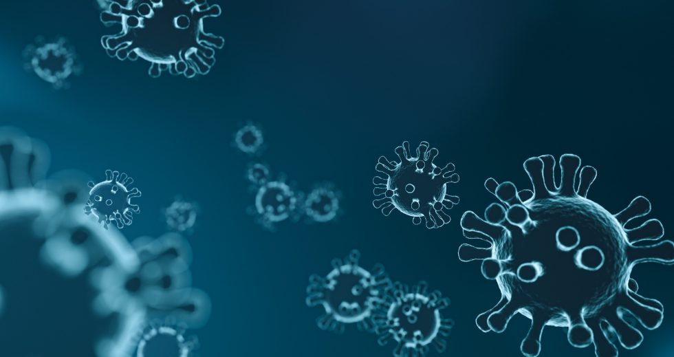 A microscopic view of a virus. Photo by Canva.com.